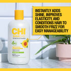 ShineCare Smoothing Conditioner - 12 Ounces, , large image number null